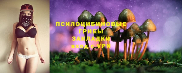Альфа ПВП Волоколамск