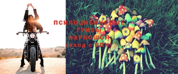 герыч Вязьма